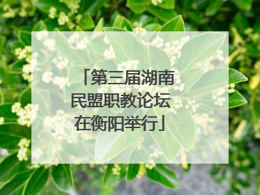 第三届湖南民盟职教论坛在衡阳举行