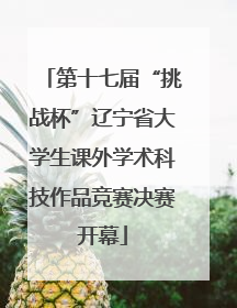 第十七届“挑战杯”辽宁省大学生课外学术科技作品竞赛决赛开幕
