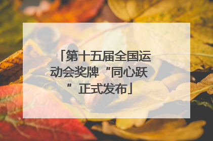 第十五届全国运动会奖牌“同心跃”正式发布
