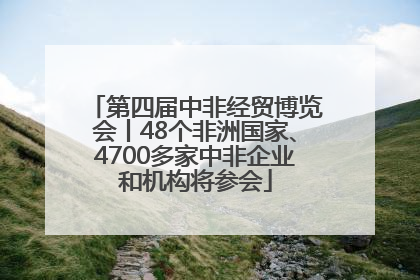 第四届中非经贸博览会丨48个非洲国家、4700多家中非企业和机构将参会
