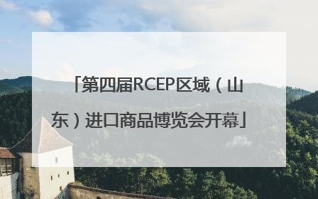 第四届RCEP区域（山东）进口商品博览会开幕