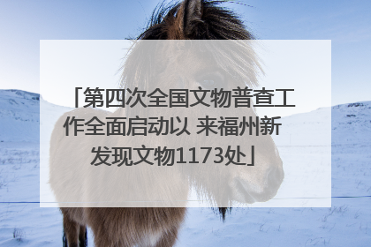 第四次全国文物普查工作全面启动以 来福州新发现文物1173处