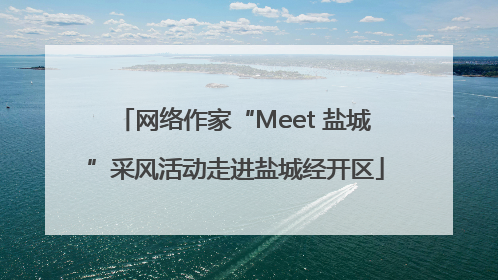 网络作家“Meet 盐城”采风活动走进盐城经开区