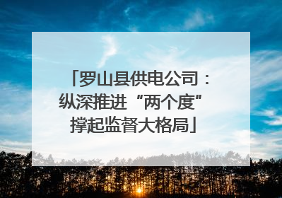 罗山县供电公司：纵深推进“两个度” 撑起监督大格局