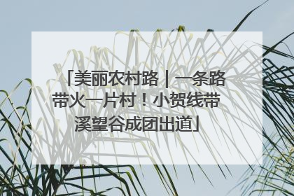 美丽农村路｜一条路带火一片村！小贺线带溪望谷成团出道
