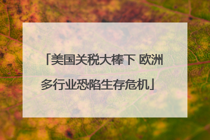 美国关税大棒下 欧洲多行业恐陷生存危机