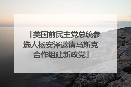 美国前民主党总统参选人杨安泽邀请马斯克合作组建新政党