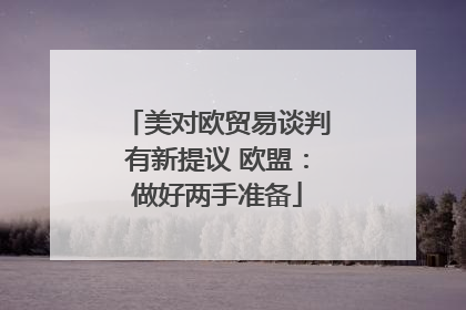 美对欧贸易谈判有新提议 欧盟：做好两手准备