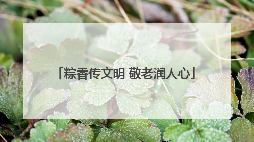 粽香传文明 敬老润人心