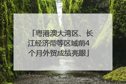 粤港澳大湾区、长江经济带等区域前4个月外贸成绩亮眼