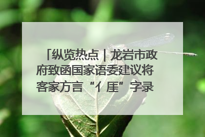 纵览热点｜龙岩市政府致函国家语委建议将客家方言“亻厓”字录入《新华字典》引发热议，当地回应