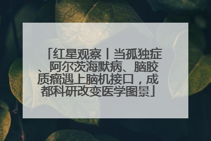 红星观察丨当孤独症、阿尔茨海默病、脑胶质瘤遇上脑机接口，成都科研改变医学图景