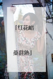 红花峪 桑葚熟