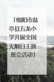 绵阳市盐亭县五龙小学开展全国无烟日主题班会活动