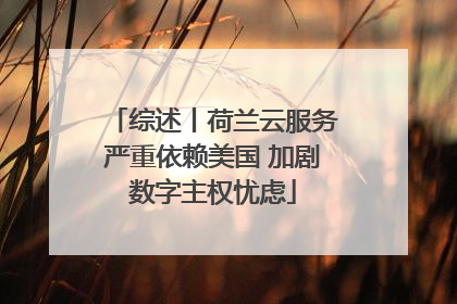 综述丨荷兰云服务严重依赖美国 加剧数字主权忧虑