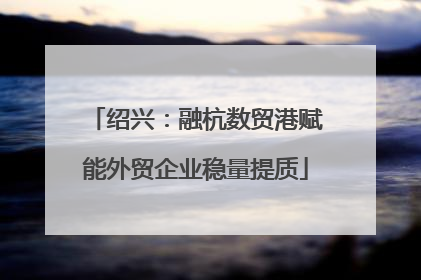 绍兴：融杭数贸港赋能外贸企业稳量提质