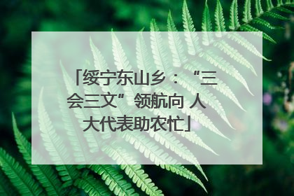 绥宁东山乡：“三会三文”领航向 人大代表助农忙