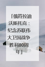 俄符拉迪沃斯托克：纪念苏联伟大卫国战争胜利80周年
