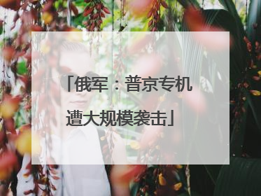 俄军：普京专机遭大规模袭击