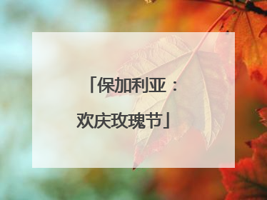 保加利亚：欢庆玫瑰节