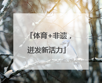 体育+非遗，迸发新活力