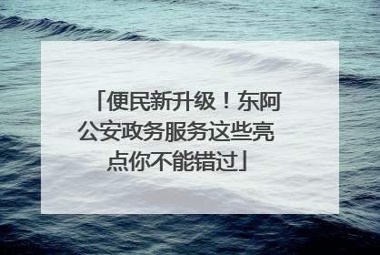 便民新升级！东阿公安政务服务这些亮点你不能错过