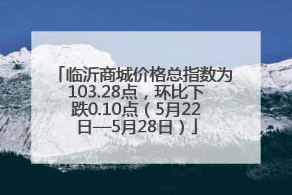 临沂商城价格总指数为103.28点，环比下跌0.10点（5月22日—5月28日）
