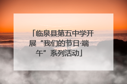 临泉县第五中学开展“我们的节日·端午”系列活动
