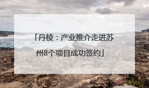 丹棱：产业推介走进苏州8个项目成功签约