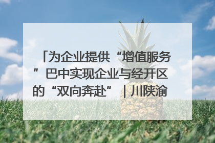 为企业提供“增值服务”巴中实现企业与经开区的“双向奔赴”｜川陕渝网络名人巴中行