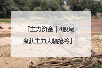 主力资金｜4股尾盘获主力大幅抢筹