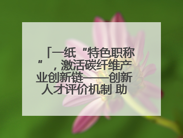 一纸“特色职称”，激活碳纤维产业创新链——创新人才评价机制 助推产业升级
