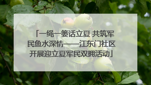 一绳一篓话立夏 共筑军民鱼水深情——江东门社区开展迎立夏军民双拥活动