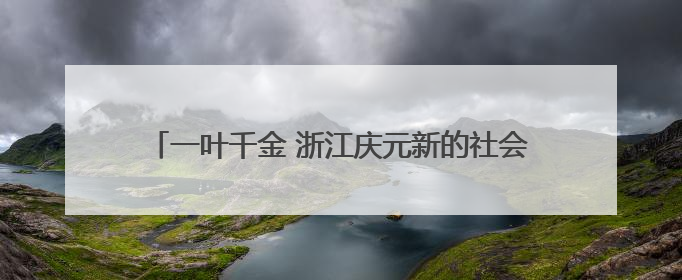 一叶千金 浙江庆元新的社会阶层人士破解荒野茶致富密码