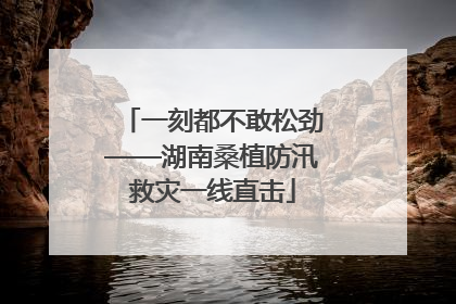 一刻都不敢松劲——湖南桑植防汛救灾一线直击