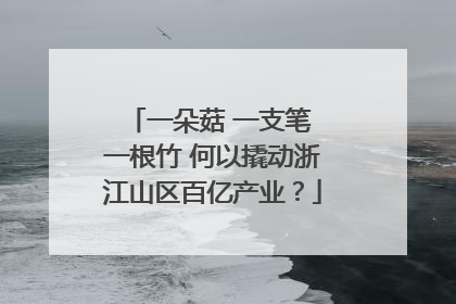 一朵菇 一支笔 一根竹 何以撬动浙江山区百亿产业？