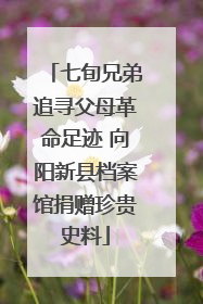 七旬兄弟追寻父母革命足迹 向阳新县档案馆捐赠珍贵史料