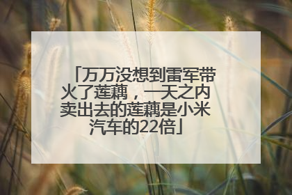 万万没想到雷军带火了莲藕，一天之内卖出去的莲藕是小米汽车的22倍