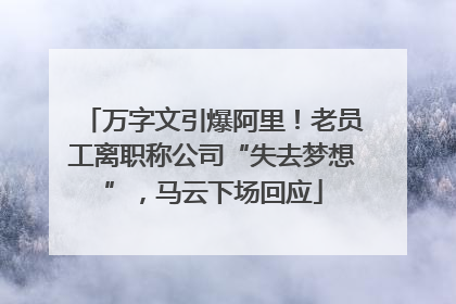 万字文引爆阿里！老员工离职称公司“失去梦想”，马云下场回应