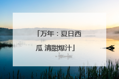 万年：夏日西瓜 清甜爆汁