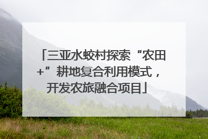 三亚水蛟村探索“农田+”耕地复合利用模式，开发农旅融合项目