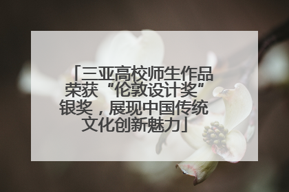 三亚高校师生作品荣获“伦敦设计奖”银奖，展现中国传统文化创新魅力
