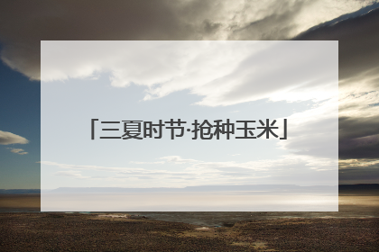 三夏时节·抢种玉米