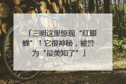 三明这里惊现“红眼蝉”！它很神秘，被誉为“最美知了”