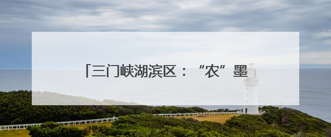 三门峡湖滨区：“农”墨重彩绘就乡村振兴新画卷