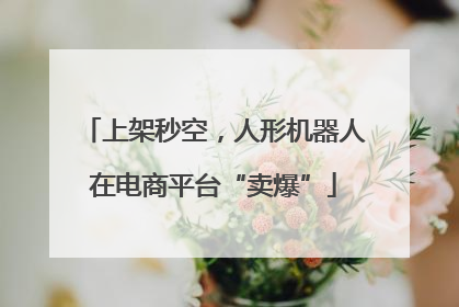 上架秒空，人形机器人在电商平台“卖爆”
