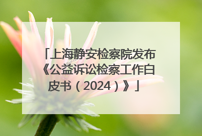 上海静安检察院发布《公益诉讼检察工作白皮书（2024）》