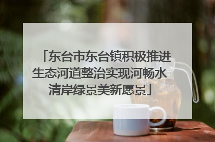 东台市东台镇积极推进生态河道整治实现河畅水清岸绿景美新愿景