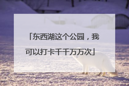 东西湖这个公园，我可以打卡千千万万次
