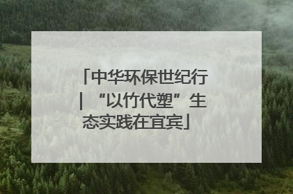中华环保世纪行｜“以竹代塑”生态实践在宜宾